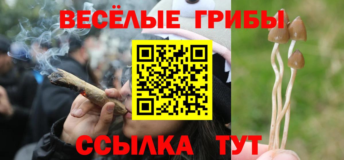 Галлюциногенные грибы GOLDEN TEACHER Волгоград