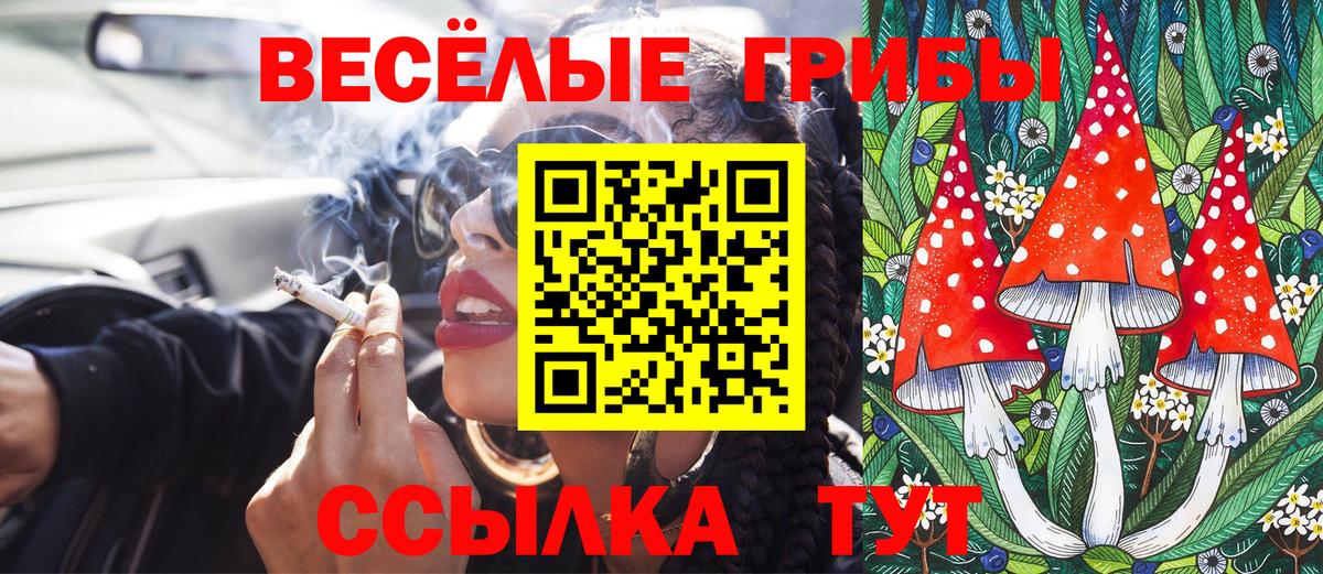 Галлюциногенные грибы GOLDEN TEACHER  Псилоцибиновые грибы Magic Shrooms  Волгоград  Вход с VPN 