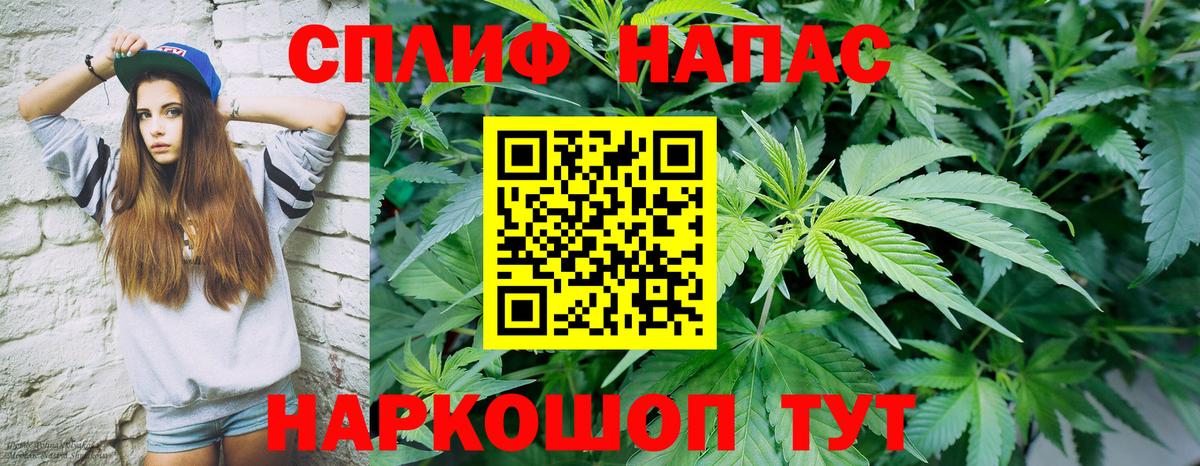 Бошки Шишки VHQ Волгоград